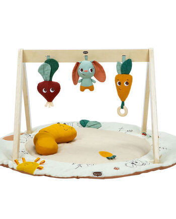 Tiny Love Aktivitetsstativ Luxe Gymini Garden Of Adventures