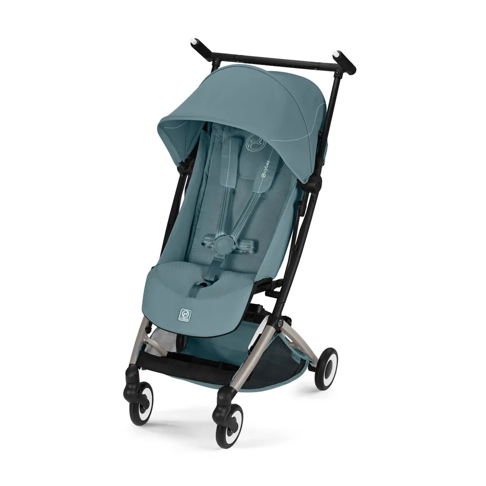 Libelle Stormy Blue