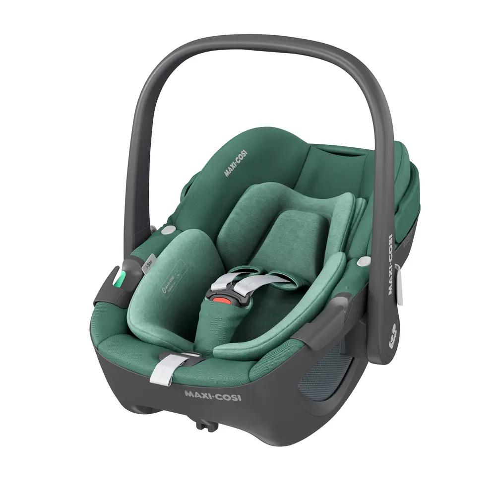 Pebble 360 Essential Green